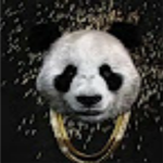 Pandaz Nation