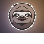 sloth sloth pirates