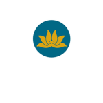 VA () Vietnam Airlines