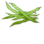 The Green Bean Population