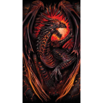 The Dragon Warrior Group