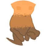 Metamorphic Bingus