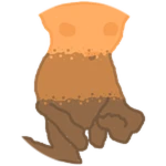 Metamorphic Bingus