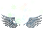 Sparkling Angel Wings
