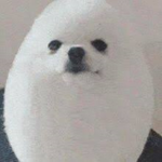 Cult Of E G G D O G