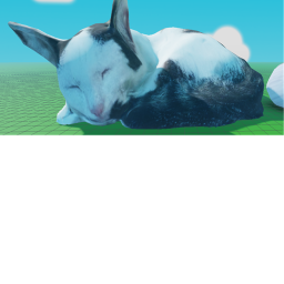 🏝 Cat Simulator 🏝