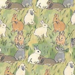 rabbitcare.com
