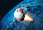 ewofjhweirugi