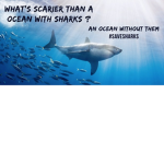#SAVE THE SHARKS SQUAD