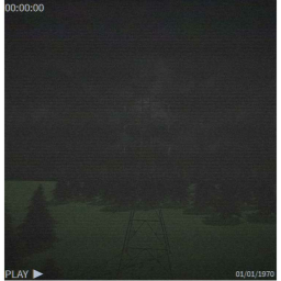 The VHS