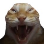my roblox please