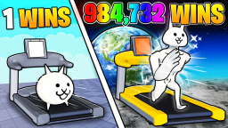 Szkolenie kota bojowego🐾