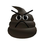 POO MASTER DECIPLES
