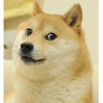 .Doge army.