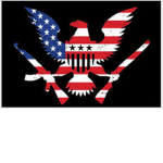 The Eagle Strike Attack Force
