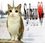 Revolución Gatuna (Meow)