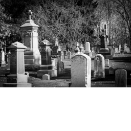 THE FALLEN JITS