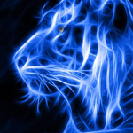 The Electric tigers
