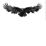 The Business Ravens