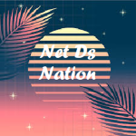 Net Ds Nation