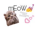 Itz cat squad