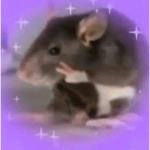 Rato estiloso