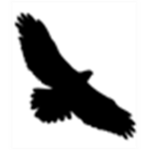 BlackHawk Assault Force