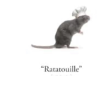 Da RAT AND THE VACCUM