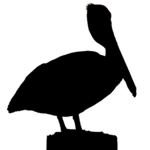 Pelican Games