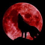 LunarMoon Productions