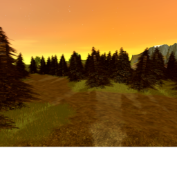 The Fields