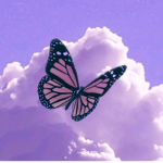 Lilac Official Channel Fandom