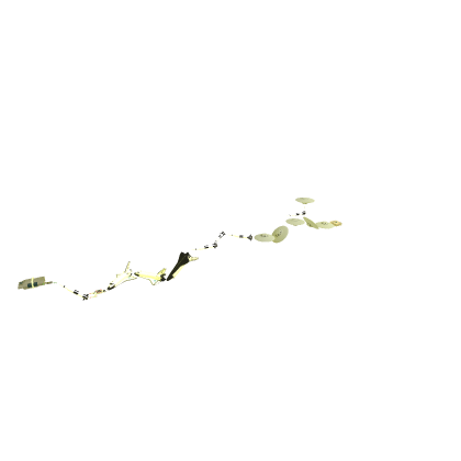 space obby model