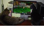 CatLuvrsDropDHC