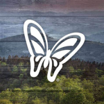 Tennessee Corporation