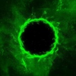 DRSLIMEz YT Group!