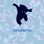 ShadowNinja Playz