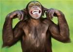 Atheist/Evolutionist/Darwinist group