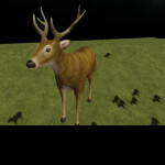 Deer 