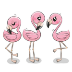 Kiera’s fan group!