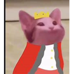 Cat Cult Club