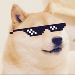 United Dog3
