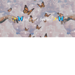 butterfly bestie$