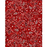Gods demonz/EYT