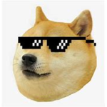 Doge games + bacon games