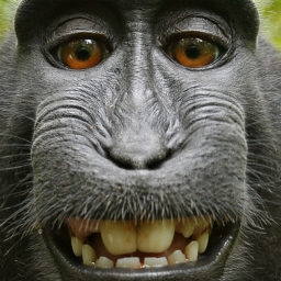 Honorable Monke and Among us