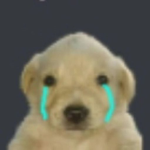 Doge Satış