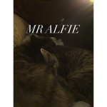 THE CAT SQUAD #CATS
