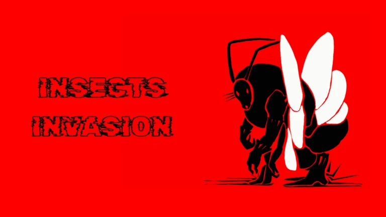 Insects Invasion