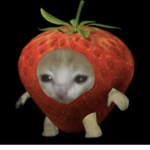 Pansitos_